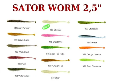 Molix - Sator Worm 2,5"