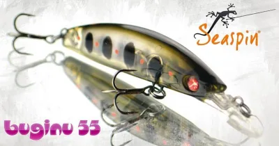 Seaspin - Buginu 55