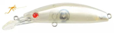 Seaspin - Buginu 55