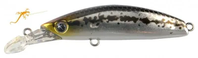 Seaspin - Buginu 55