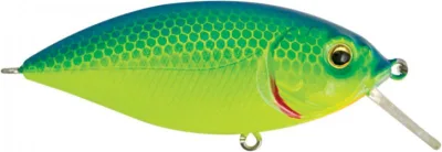 Rapture - Speed Crank 65mm