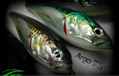 Jack Fin - Argo 75