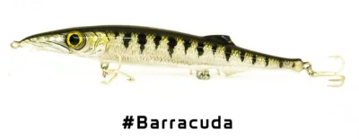 Jack Fin - Kuda
