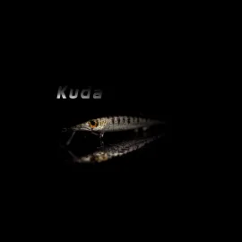 Jack Fin - Kuda