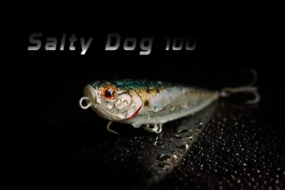 Jack Fin - Salty Dog 100
