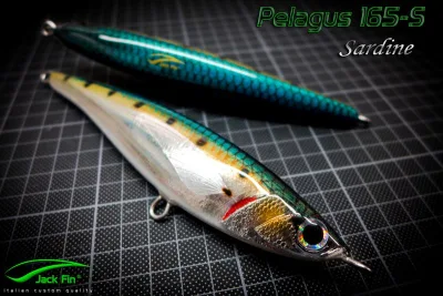 Jack Fin - Pelagus 165-S