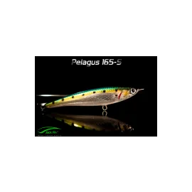 Jack Fin - Pelagus 165-S