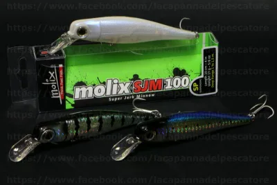 Molix - SJM 100