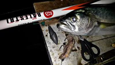 MB Balestri - Pro Beach Ledgering 440 2.0