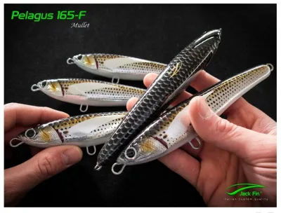Jack Fin - Pelagus 165-F