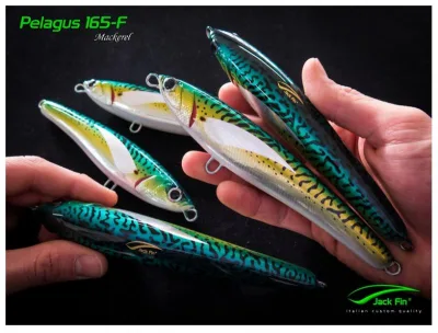 Jack Fin - Pelagus 165-F