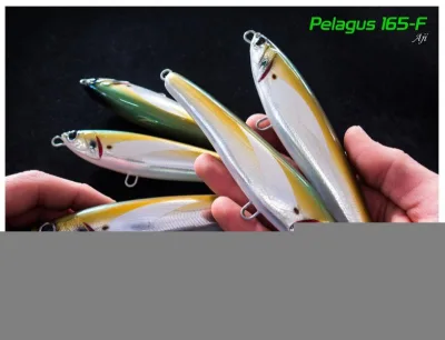 Jack Fin - Pelagus 165-F