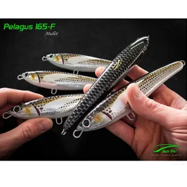 Jack Fin - Pelagus 165-F