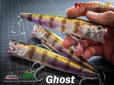 Molix - Popper 130 T