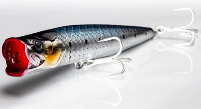 Molix - Popper 130 T