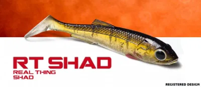 Molix - RT-Shad 3,5"