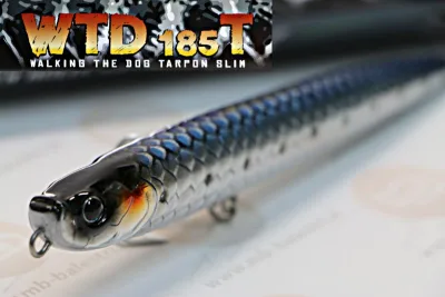 Molix - WTD 185 T