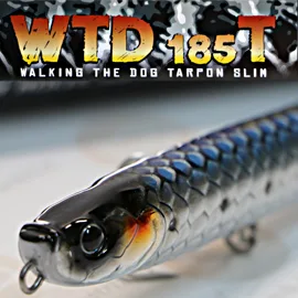 Molix - WTD 185 T