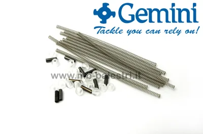Gemini - Genie SRT Spring