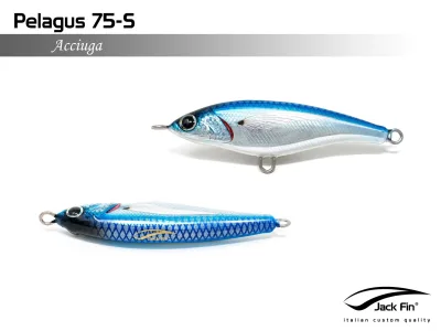 Jack Fin - Pelagus 75-S