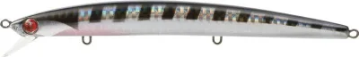 Seaspin - Mommotti 180SF