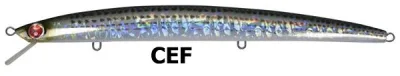 Seaspin - Mommotti 180SF